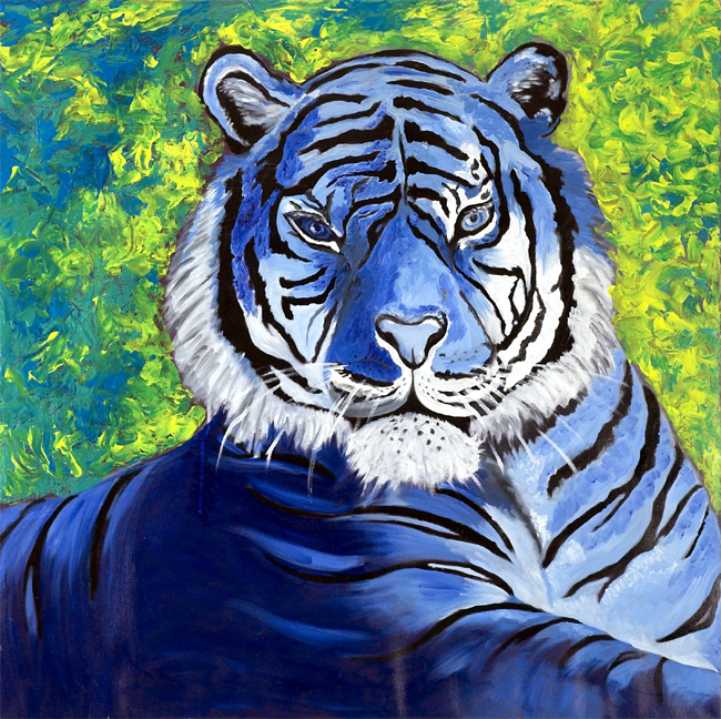 blue-tiger
