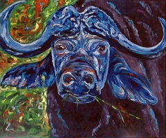 Kaffer Buffalo