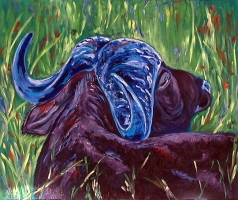 Relaxing Buffalo