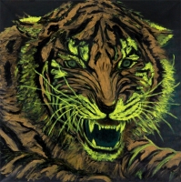 angry-tiger