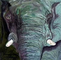 Elefant