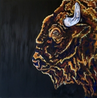 Bison