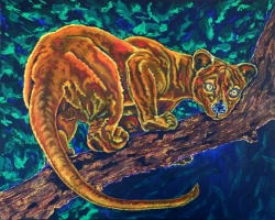 Fossa