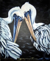 Pelikaner
