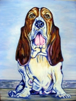 Basset Hound