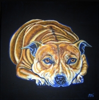 Staffordshire Bull Terrier